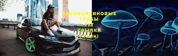 сатива Рославль