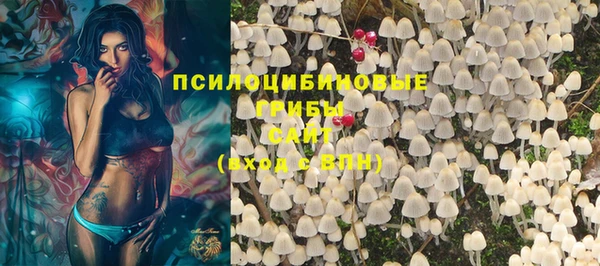 соль курить ск Ростов