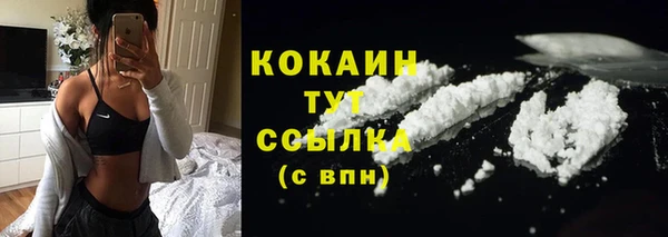 сатива Рославль