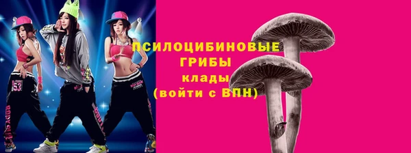 сатива Рославль